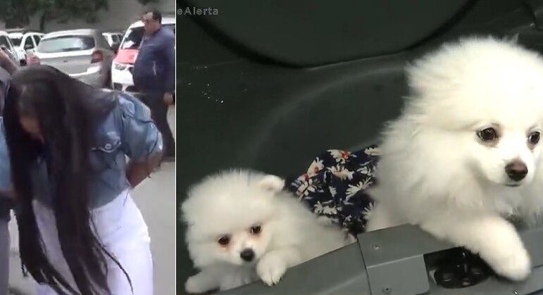 A traficante Rapunzel e seus filhotes de cachorros