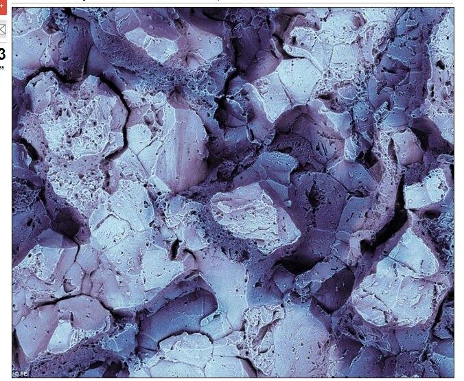 ciência micro, tecnologia, microscópico, fotografias, plantas, cigarros