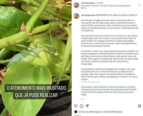 Ele declarou: