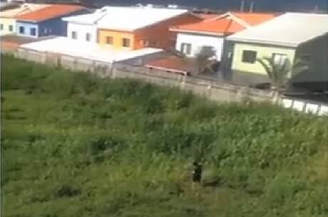 Toda a ação dele foi flagrada por câmeras de segurança e um vídeo