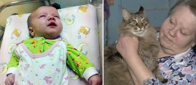 Gatinha entrou dentro da caixa em que bebê foi deixado para tentar aquecê-lo