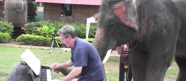 Já viu um elefante tocar piano?
