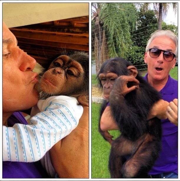 Otávio Mesquita posta foto com macaco