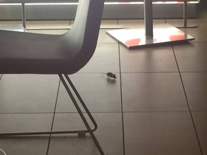 Casal afirmou que no hotel Ibis de Londres o atendimento e a limpeza foram completamente diferentes em relação ao que encontraram em Paris
