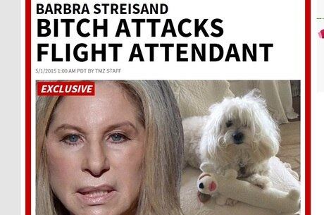 Cadelinha de Barbra Streisand ataca aeromoça