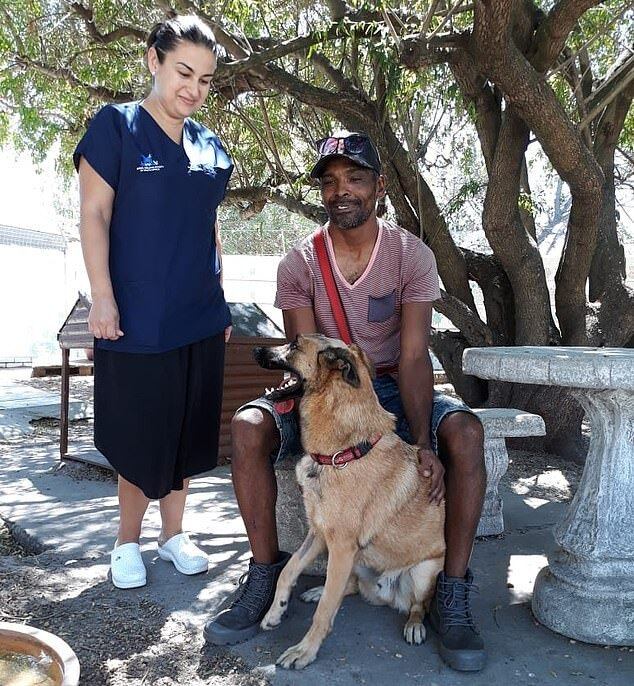 Exames revelaram que a lâmina não tinha chegado ao cérebro do cão, mas por milímetros não foi atingido