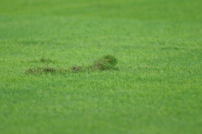 Buraco no Maracanã: o excesso de jogos também é problema no estádio, que passou a
concentrar partidas dos times do Rio uma vez que o Engenhão foi fechado,
em março, por problemas na estrutura da cobertura. Apenas nesta semana,
serão disputados três jogos em cinco dias no campo, o que foi criticado
pelos ex-técnicos da seleção brasileira Dunga e Vanderlei Luxemburgo.

