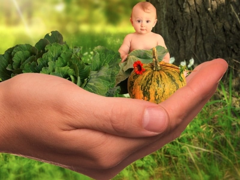 Se você tem o perfil prática, vale a pena congelar as papinhas não só para poupar tempo, mas para ter um melhor aproveitamento dos alimentos. “Mas todo o cuidado é pouco! Para reduzir os riscos de contaminação e aproveitar ao máximo os nutrientes, o segredo é cozinhar, separar em porções e congelar em seguida. Não é necessário esperar o alimento esfriar para levar ao congelador. Muito pelo contrário, quanto antes congelar, melhor”, aconselha a profissional.