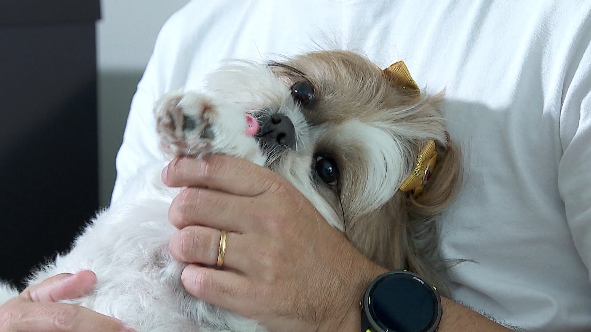 ‘Seremos um país livre de crueldade em animais nos testes para cosméticos’, diz diretora do DPDA