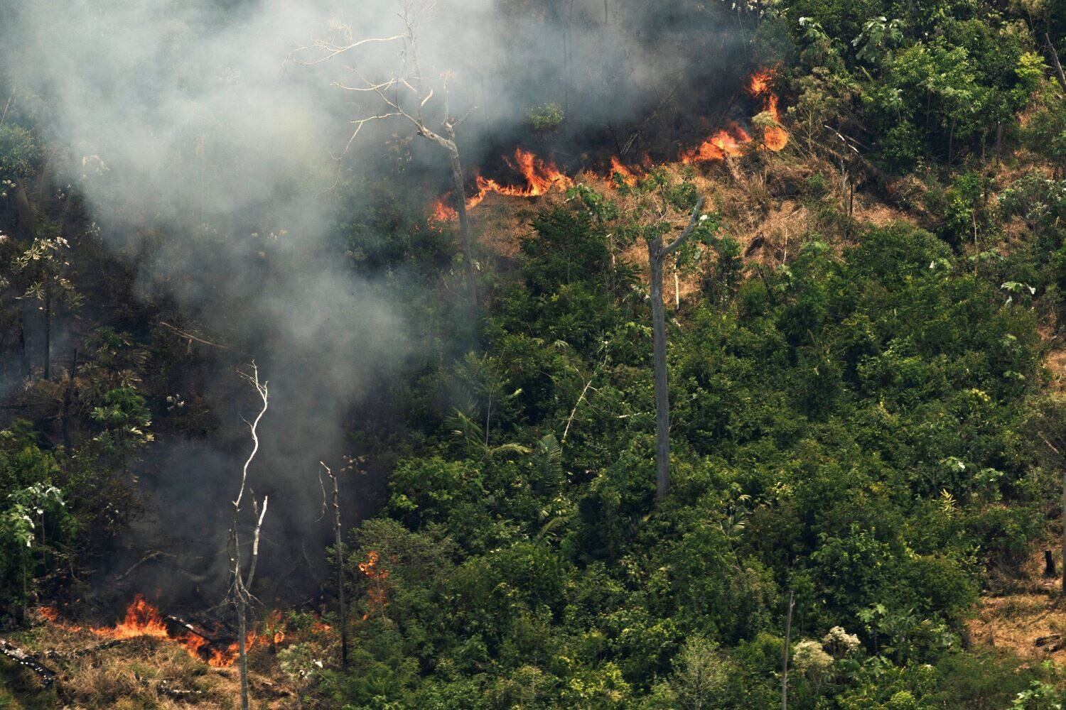 Amazônia tem junho com maior número de incêndios desde 2007
