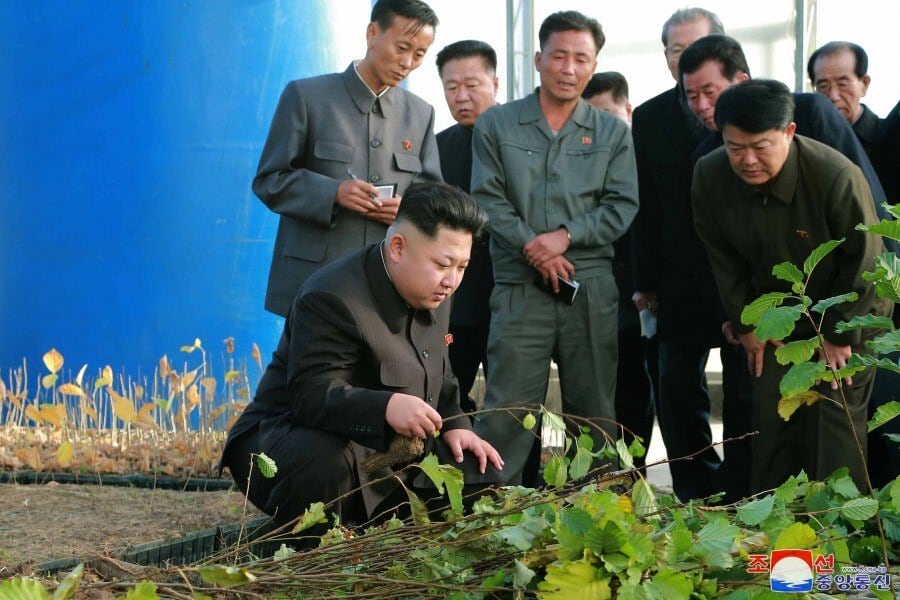 Apesar do gesto simbólico de plantar árvores, a Coreia do Norte disparou foguetes hoje na véspera do início dos maiores exercícios militares conjuntos em cinco anos da Coreia do Sul com os Estados Unidos