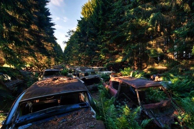 A floresta contava com quase 500 automóveis. A Bélgica chegou a ter 4 pontos de abandono de carros durante a guera, porém, apenas Chatillon tem automóveis até hoje lá 