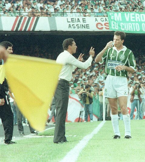 Muito identificado com o Palmeiras, onde conquistou dois Brasileiros (1993 e 1994) e quatro Paulistas (1993,1994,1996 e 2008), Luxemburgo agrada também ao executivo de futebol José Carlos Brunoro, que trabalhou com o treinador no período da Parmalat.

Entenda por que Luxemburgo tem tudo para voltar ao Verdão
