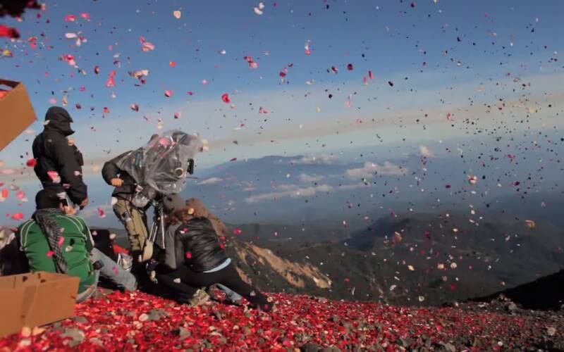 Ao todo, a equipe precisou de duas semanas para escolher as 3,5 toneladas de pétalas usadas para "inundar" as ruas