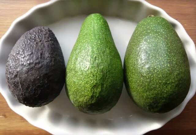 O quadro Mitos e Verdades do Domingo Espetacular mostrou um alimento capaz de ajudar na prevenção do câncer, diabetes e outras doenças: o abacate. Ele também pode deixar a pele mais bonita e ainda ser um aliado na perda de peso. Conheça os benefícios dessa fruta!
