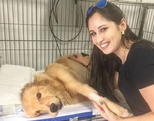  Para piorar, seu antigo dono não tinha condições de arcar com os gastos médicos e a entregou para ser sacrificada. Mas sua sorte mudou quando ela conheceu a vendedora sorocabana Mariana Camargo