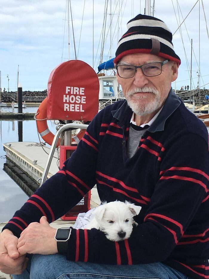 "A área do cérebro canino dedicada à análise de odores é cerca de 40 vezes maior que a parte comparável dos seres humanos. De fato, estima-se que os cães cheiram de 1.000 a 10.000 vezes melhor do que as pessoas"