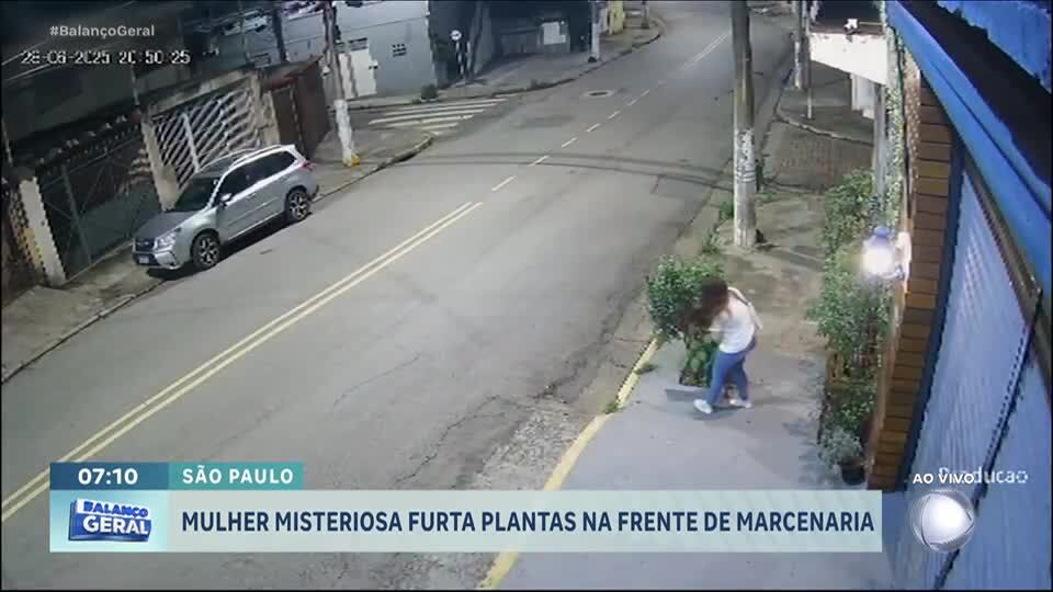 Mulher furta plantas na frente de marcenaria na zona sul de São Paulo