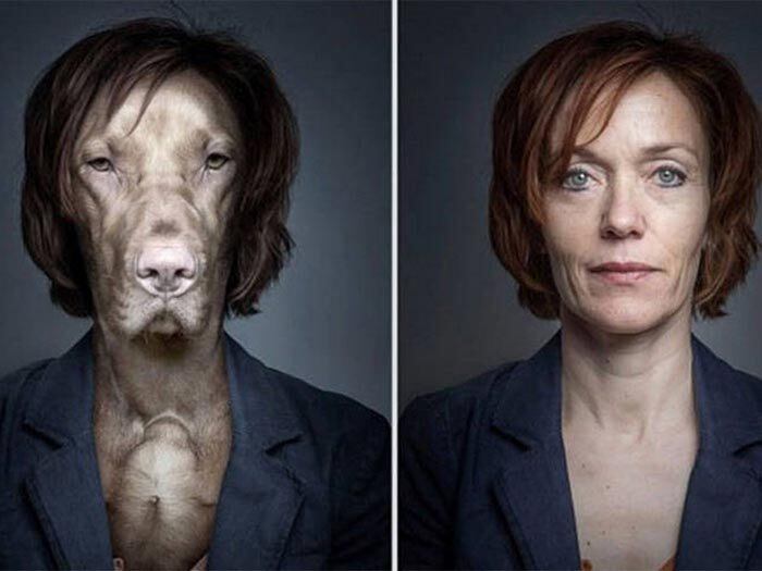 Depois foram colocadas lado
a lado. O que você achou? São semelhantes, mesmo? 

+ Cara de um e focinho de
outro. Veja mais fotos dos cachorros e seus donos