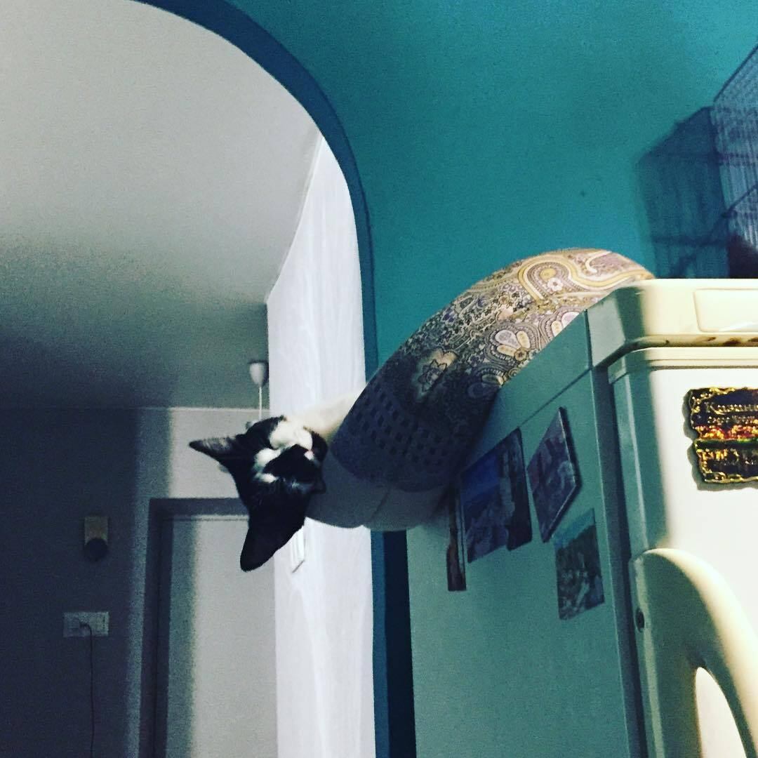 Não tem descanso, que coisa!