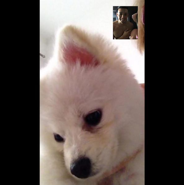 Julio, o cachorrinho do casal, não os acompanhou durante a viagem. Por outro lado, Juju e Felipe encontraram um jeitinho de matar as saudades de vez em quando. No Instagram do cachorrinho, a beldade brincou com o momento na legenda.
— Falando com meus pais pelo FaceTime!! Já estou com muita saudade
+ Dez fatos provam que a vida do cachorrinho de Juju Salimeni é melhor que a sua
+ As Pragas do Legendários! Juju Salimeni e Hulk Magrelo jantam pizza de grilo: "Senti a perninha"
+ Assista às íntegras do Legendários no R7.com/Play!