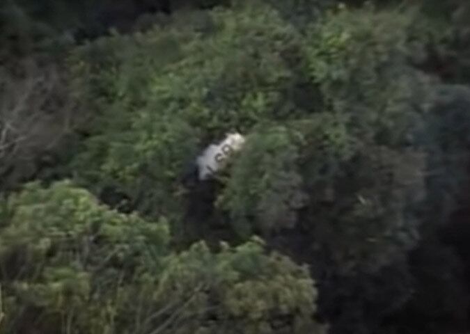 Sucesso absoluto, interrompido pela morte precoce, quando o avião em que eles estavam bateu na Serra da Cantareira, em São Paulo, em 2/3/1996