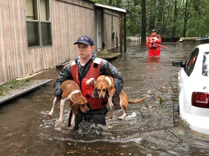 A Guarda Costeira ajuda a resgatar também animais de estimação que ficaram presos por conta das inundações perto de Riegelwood, na Carolina do Norte 
