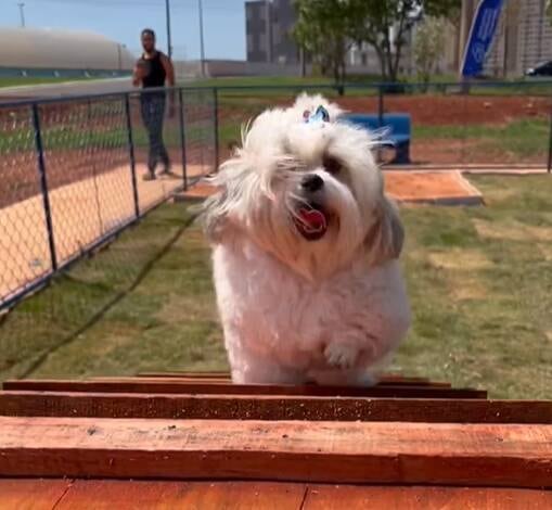 ParCão foi inaugurado neste sábado em Samambaia
