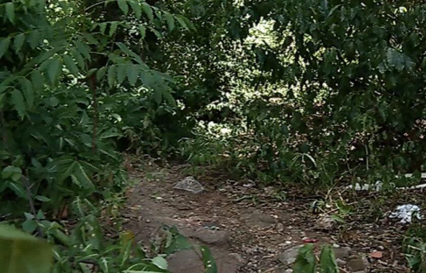 Folha Vitória - Cidades 4