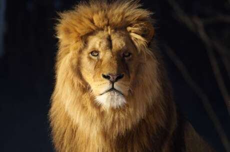 Mais de 2 milhões de contribuintes receberão um total de R$ 2,6 bilhões
