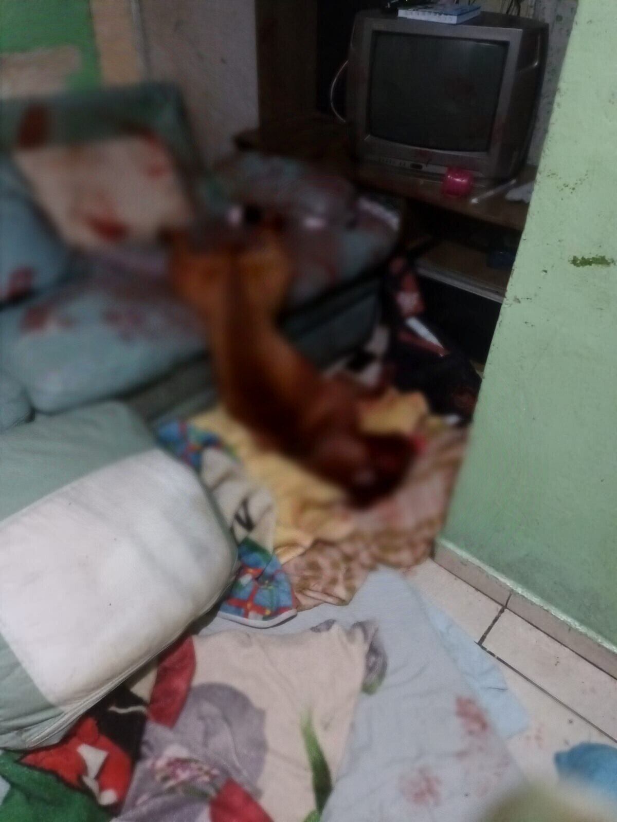 Cachorro atacou o dono dentro de casa