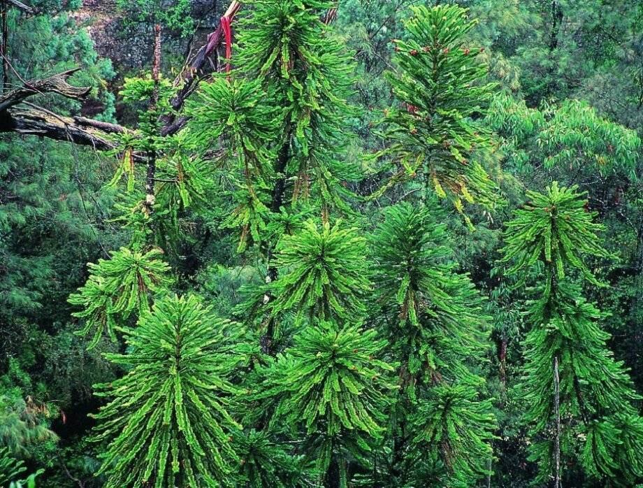 Para os interessados por sustentabilidade, a franquia Bye Bye Paper é uma opção que exige um investimento inicial de R$ 19 mil. Os serviços oferecidos são digitalização, gestão eletrônica de documentos, entre outros. Os recursos que você precisaráo uma equipe de um a cinco funcionários, conseguindo uma taxa de retorno entre nove e 18 meses