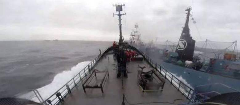 De acordo com a organização ecologista Sea Shepherd, o baleeiro queria impedir ativistas de se aproximarem de outro barco de pesca
