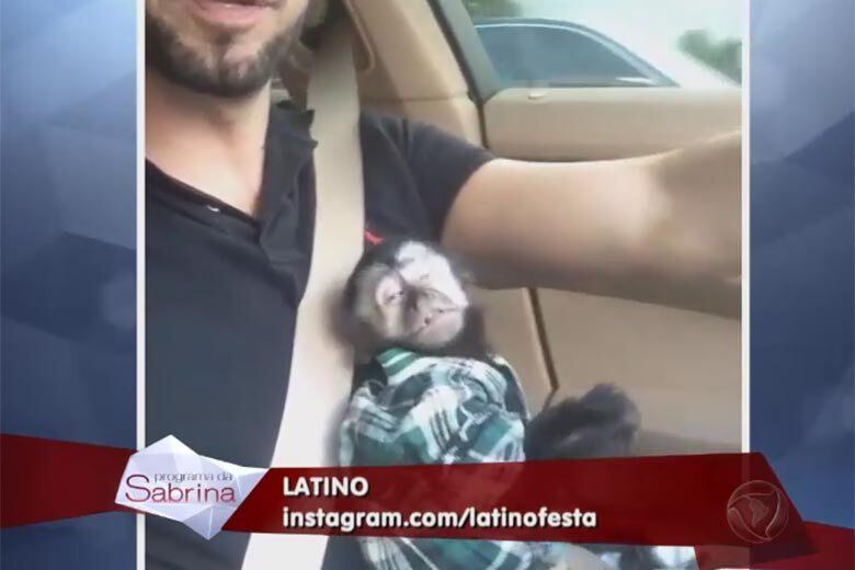 E dirigindo com Twelves no colo

+ Vídeo: Macaco Twelves leva internautas à loucura e tem mais de 10 mil seguidores

+ Quer saber tudo sobre o Programa da Sabrina? Siga o perfil no Twitter

+ A atração da japa mais famosa do Brasil também está no Facebook. Curta!