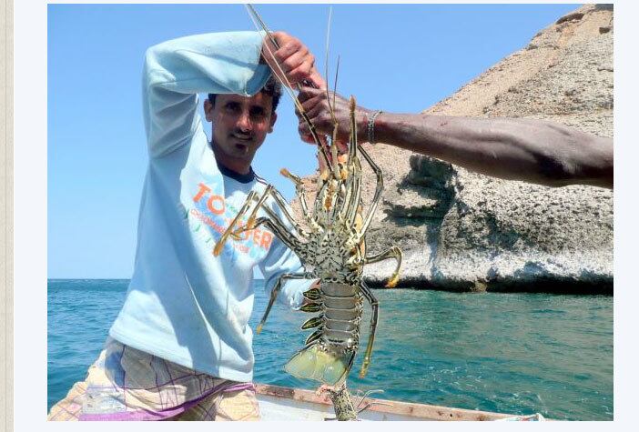 A iha também tem animais que não são encontrados em nenhum outro lugar do mundo. Dando um aspecto de "alienígena" para o arquipélago