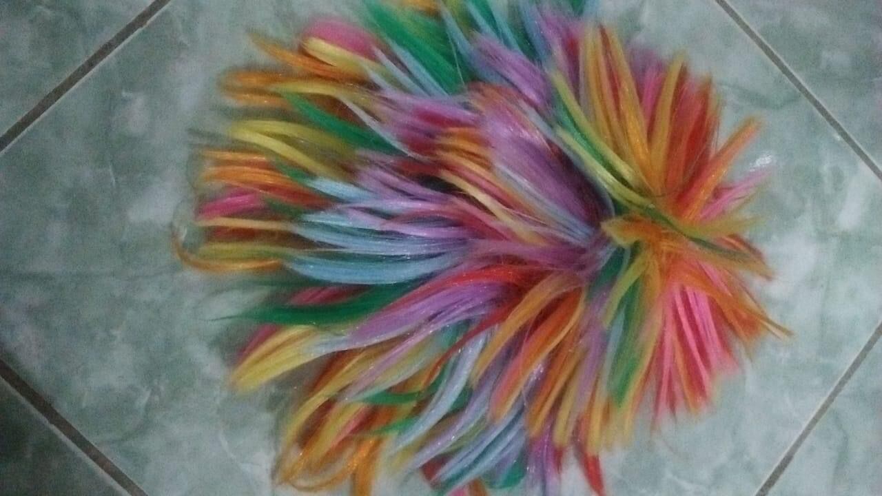 Palhaço suspeito de pedofilia é alvo de busca e apreensão no interior de São Paulo