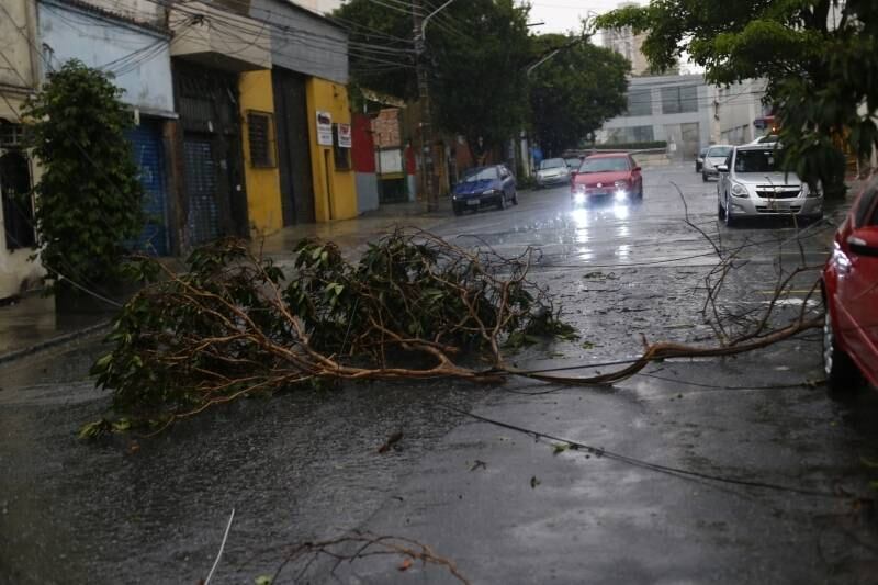 A região da Lapa, na zona oeste, registrou queda de árvores nesta tarde
