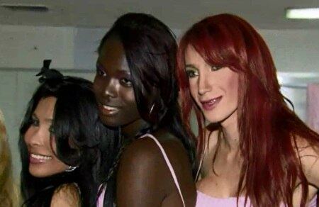 Canditadas desfilaram em maiôs, shortes e camisetas e vestidos