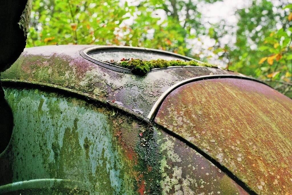 Cemitério de carros antigos da floresta de Bastnas, na Suécia