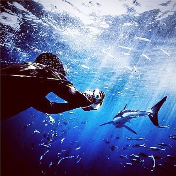 Muller afirma que a chave para ser bem-sucedido ao fotografar tubarões é ficar relaxado. O fotógrafo explica so blog oficial do Instagram que a ansiedade é o maior obstáculo.
— Se você deixar os pensamentos negativos se firmarem, então passará por momentos muito difíceis
