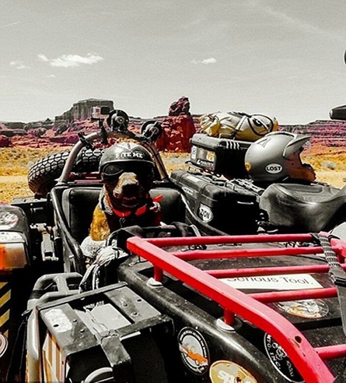 — Ele se tornou minha vida, e vice-versa. Nós somos um agora. E parece o piloto a bordo de seu sidecar!