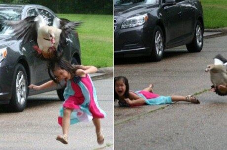 Summer no momento exato do ataque do ganso
