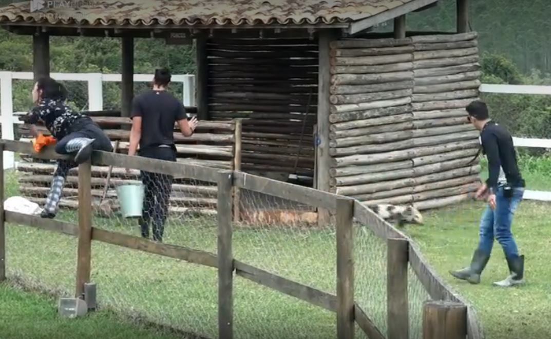 Nas primeiras semanas, a modelo protagonizou cenas curiosas ao fugir dos porcos, tentando pular até a cerca para não cruzar com os suínos. Com o tempo, porém, ela se acostumou