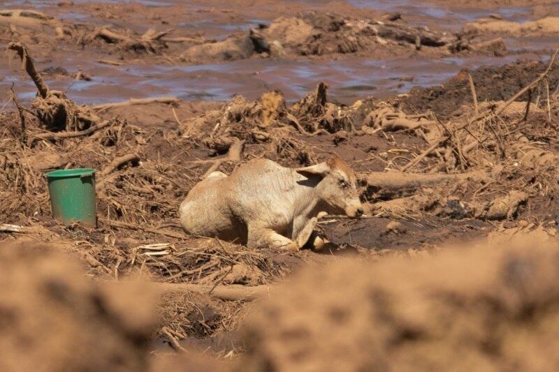 Barragem com detritos de minério