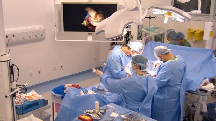 Os episódios são em formato de reality e destacam a dedicação dos profissionais, a família, a fragilidade, as perdas e as enormes conquistas no caminho da cura.

Não perca! O Hospital já está disponível na plataforma de streaming PlayPlus. Na Record TV, a série vai estrear dia 25 de junho, às 23h.