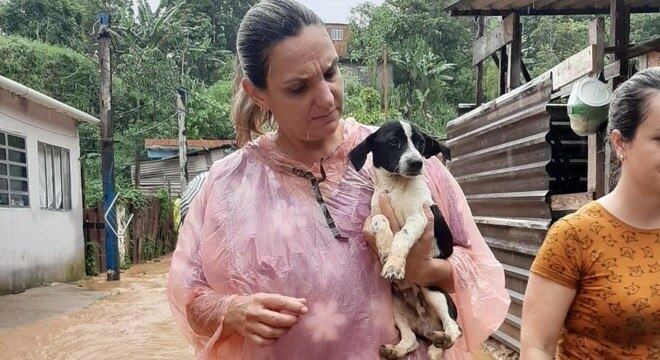Ao todo, já foram resgatados 33 animais na área atingida por deslizamentos