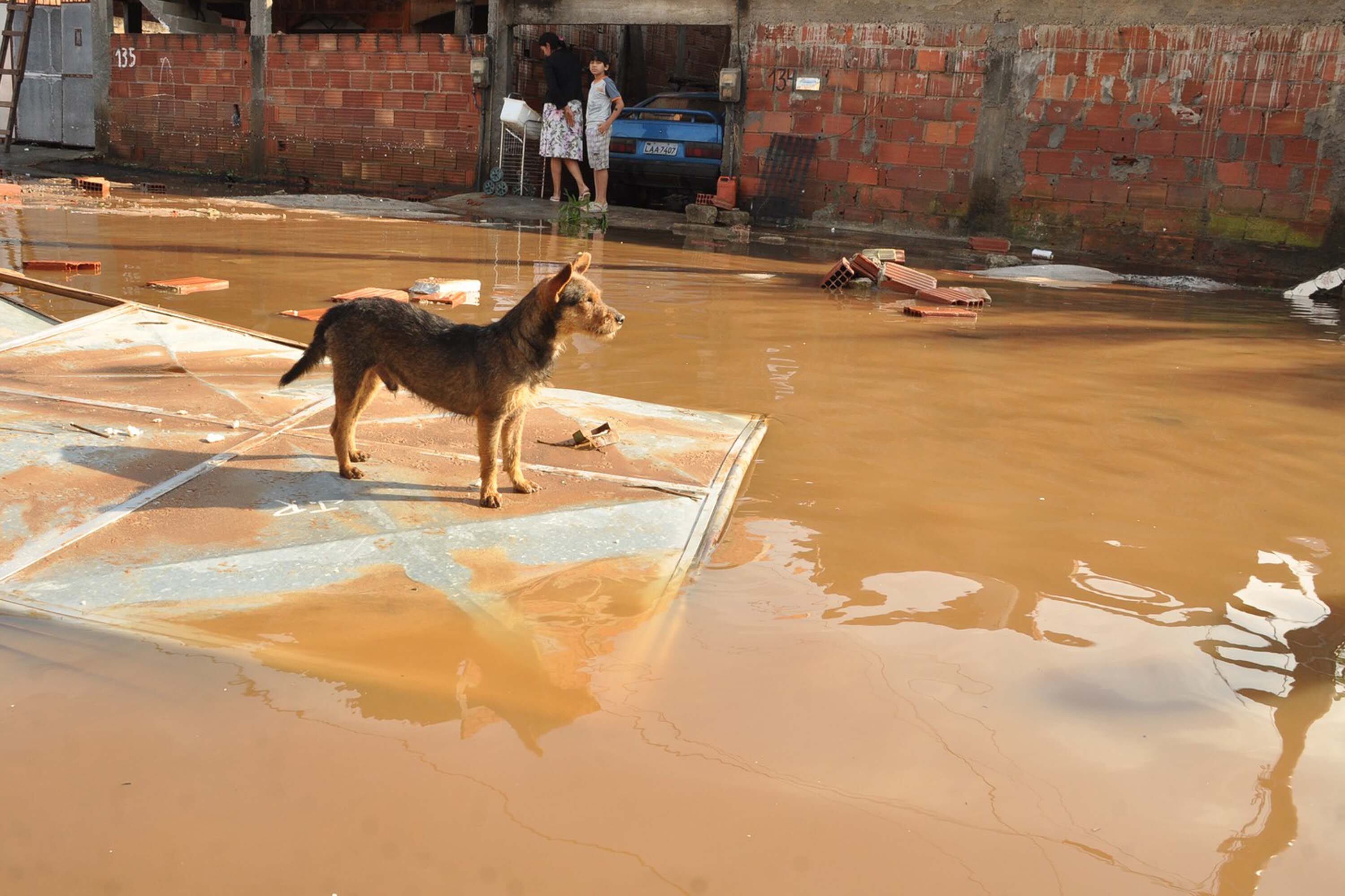 Uma das principais ruas de Campo Grande virou um rio; cerca de 200 casas foram invadidas pela água