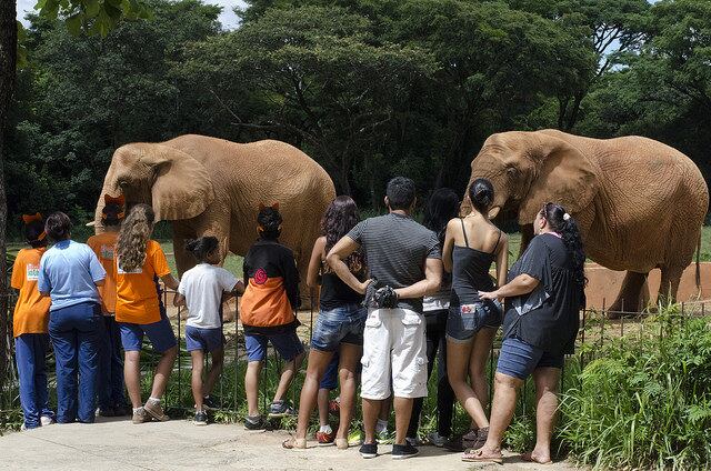 Zoológico vai funcionar de terça a domingo