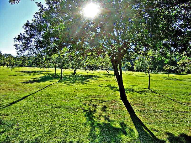 Céu deve ficar claro durante os dias