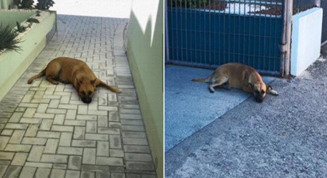 Quem é o verdadeiro?